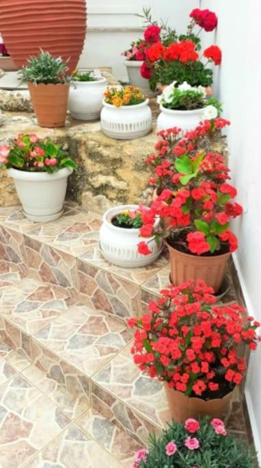 Newly Reconstructed Flat 107Sqm! Apartment Chania  Exterior foto