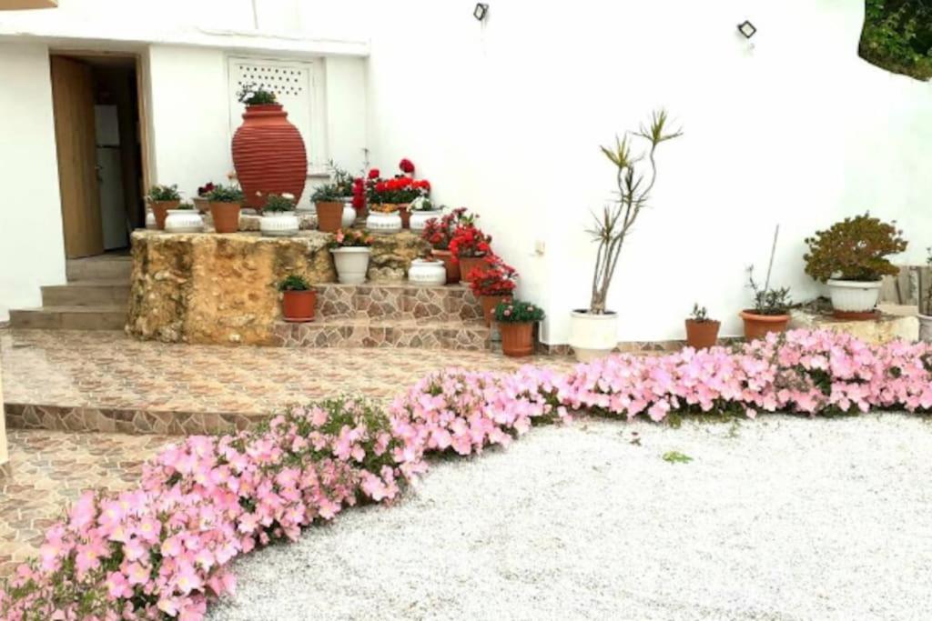Newly Reconstructed Flat 107Sqm! Apartment Chania  Exterior foto